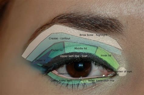 How To Apply Eyeshadow A Good Diagram To Help You Eye Makeup