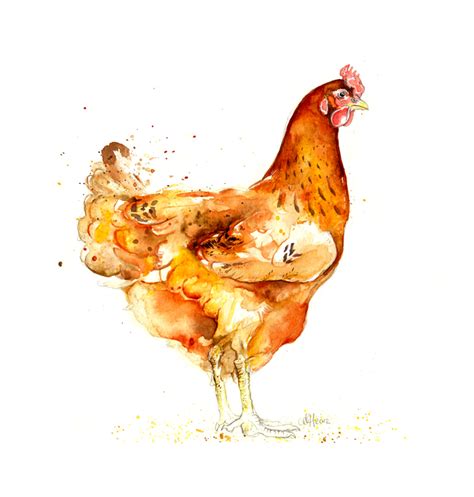 Amy Holliday Illustration Chickens The Hens