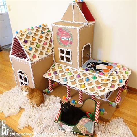 5 Reasons Why Cats Love Cardboard Boxes So Much Cat House Diy