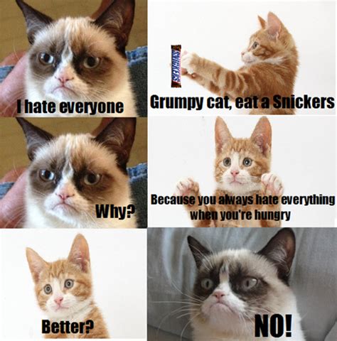 Have A Snickers Grumpy Cat Grumpy Cat Grumpycat Humor Meme