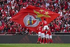 Benfica se consagró campeón de la liga de Portugal - TyC Sports