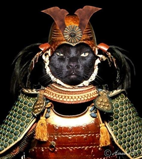 17 Best Images About Samurai Cats On Pinterest Cats New Print And Posts