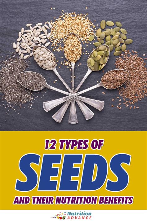 12 Types Of Edible Seeds And Their Benefits Nutrition Advance