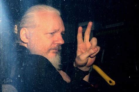 julian assange sentenced to 50 weeks in prison over bail breach