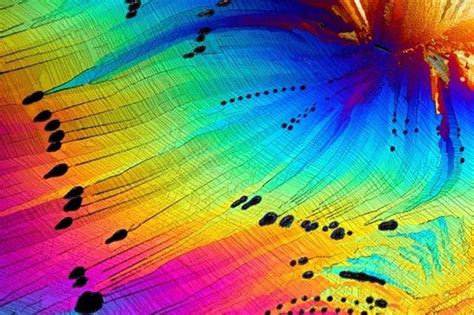 20 Awesomest Magnified Images That Make You Go “wtf”