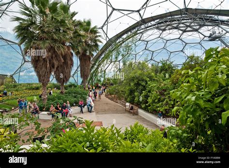 Inside The Mediterranean Biome At The Eden Project St Austell