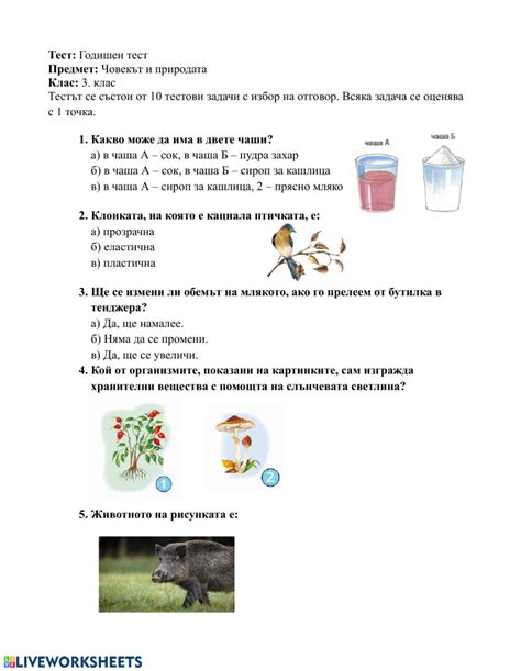 Тест interactive and downloadable worksheet You can do the exercises