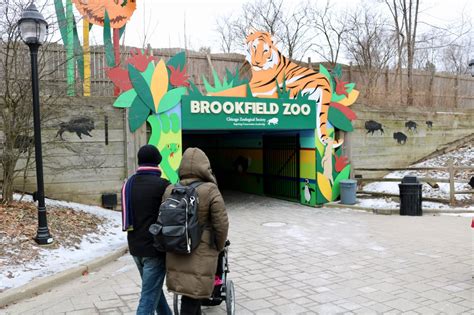 Amys Creative Pursuits Visiting The Brookfield Zoo In Winter