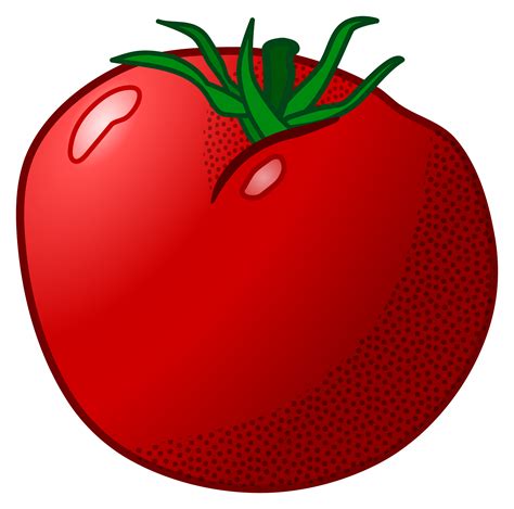 Tomato Clipart Free Download On Clipartmag