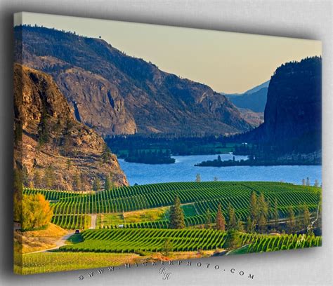 Free Download Blue Mountain Vineyard In The Okanagan Valley British Columbia X For