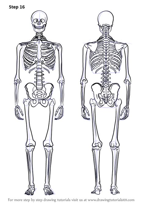 How To Draw A Skeleton Skeleton Art Drawing Skeleton Drawings