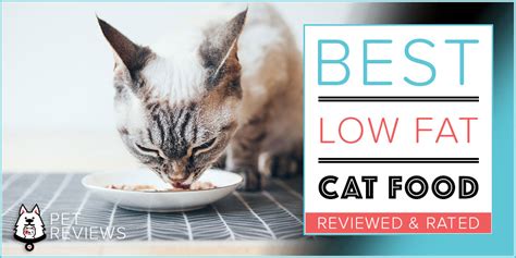 We have reviewed the best cat food for overweight cats and also included a feeding guide to make your overweight cat healthier. 10 Best (Low Calorie) Cat Food for Weight Loss in 2021