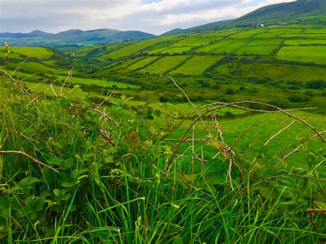 The Green Hills Of Ireland On The Dublin And Ireland Tour