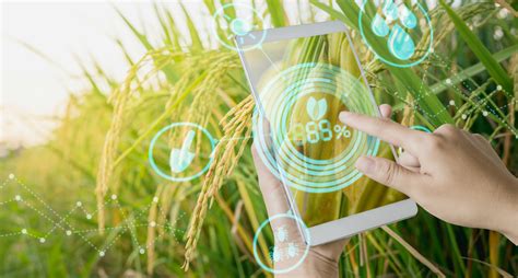 How Precision Agriculture Can Revolutionize Canadas Agri Food Sector