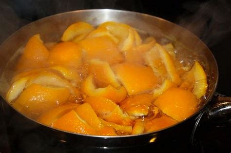 10 Inventive Ways To Use Your Leftover Orange Peels — Waste Less Save
