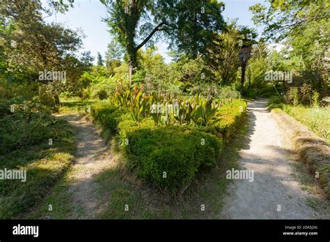 Diferentes Caminos En Bosque Fotos E Imágenes De Stock Alamy
