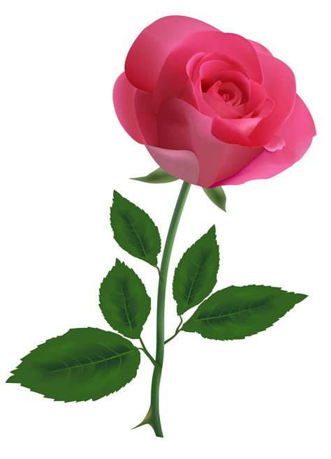 Single Rose Clipart Free Download On Clipartmag