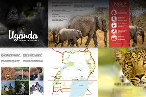 How To Create The Perfect Brochure For Your Safari Business