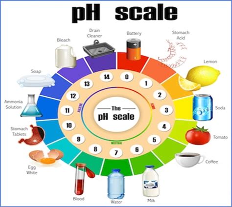 Why Are Ph Values Mostly In A Range Of 0 14 Ph Scale