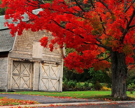 Fall Barn Desktop Wallpaper Wallpapersafari