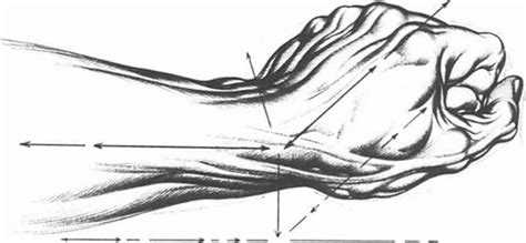 Angle Of Palm Elevation Drawing Hands Joshua Nava Arts