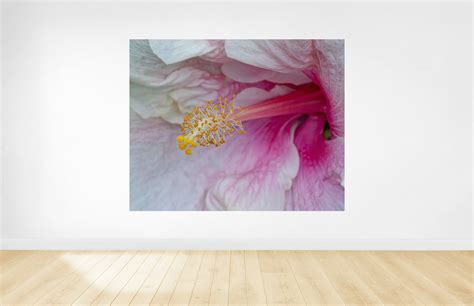 Flower Photography Wall Art Print Digital Download Large Etsy Uk
