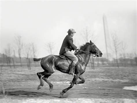 Shorpy Historical Picture Archive A Fast Horse 1914 High Resolution