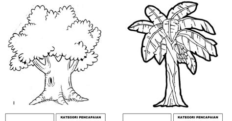 Hai teman teman semua, bunda , ayah , kakak. Contoh Gambar-Gambar Mewarnai Anak PAUD Tema Tanaman Sub Tema Jenis Pohon - ARSIP PAUD