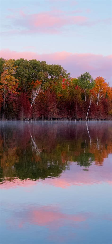 Autumn Trees Wallpaper 4k Forest Body Of Water Reflection Lake