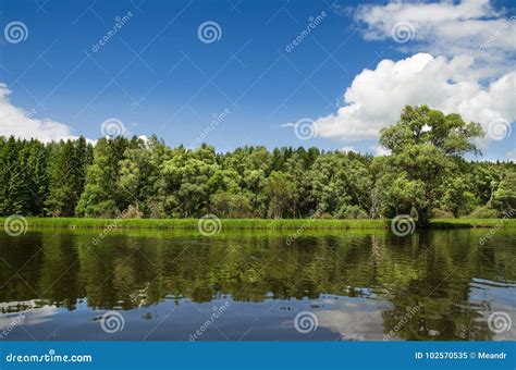 The Lake Is Surrounded By Trees Along The Banks Stock Image Image Of