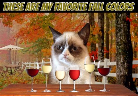 These Are Grumpy Cats Favorite Fall Colors 🍷 Grumpy Cat Humor Grumpy