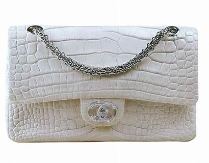 Expensive Bag Birkin Handbags Crocodile Himalayan Catawiki