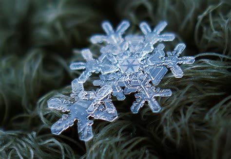 Imagennation Macro Shots Of Natural Snowflakes Russia Beyond