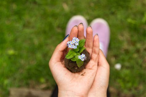 Therapeutic Benefits Of Gardening That Will Make You Start Planting