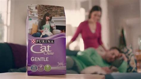 Purina Cat Chow Gentle Tv Commercial Adjustments Ispottv