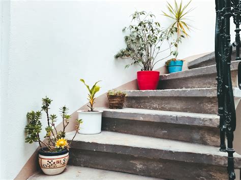 Potted Plants On Staircase Photo Free Image On Unsplash