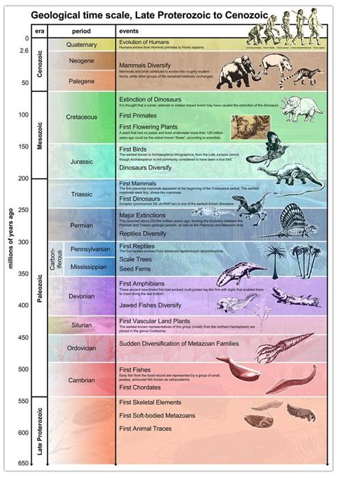 Geological Periods Poster Coğrafya Fosiller Evrim