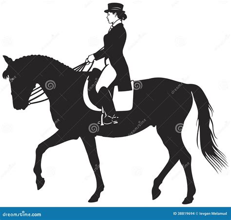 Dressage Horse And Rider Stock Vector Illustration Of Horse 38819694