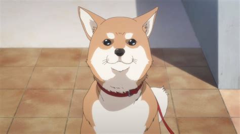 Top 26 Best Anime Dogs 2023