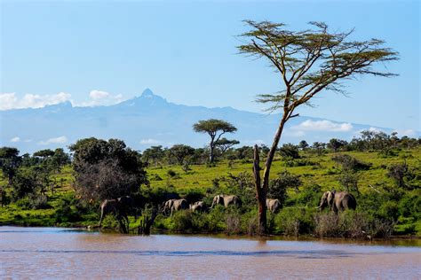 Top 10 Tourist Attractions In Kenya Secret Africa
