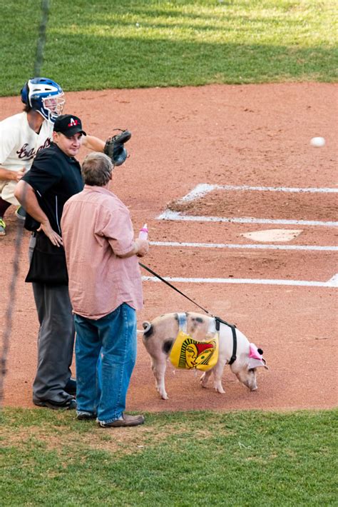 St Paul Saints Mascot Image By Evilfoo Flickr Visit Twin Cities