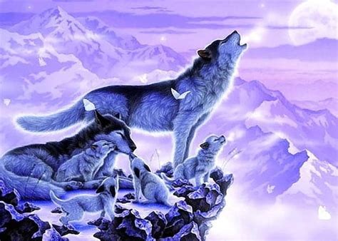 Three Wolfs Are Sitting On Top Of A Mountain