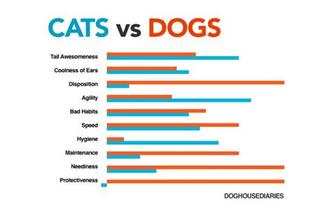 Cats Vs Dogs Visual Best Infographics