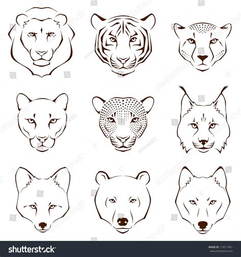 First i show the drawing of each animal and then make the drawing more slowly. Pin on galagal