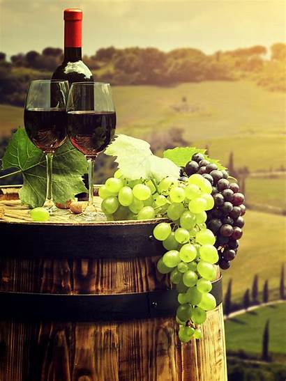 Wine Grapes Barrel Italy Fields Tuscany Wallpapers