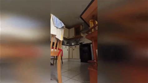 Cat Burglar Hilarious Pov Footage Shows Moggy Sneaking Into Neighbour S House And Pinching Food