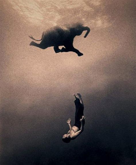 Gregory Colbert Ashes And Snow 코끼리 사진 동물