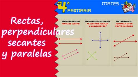 Matemáticas 4º Primaria Tema 12 Rectas Paralelas Secantes Y