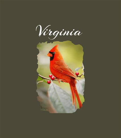 Northern Cardinal Official Virginia State Bird Travel Digital Art By