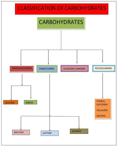 Carbohydrates Classification Of Carbohydrates And Its Uses